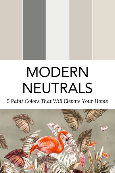 Modern Neutral Paint Colors for Your Home