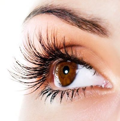 A close up of brown colored eye with beautiful eyelashes, for our blog post on AnteAGE Overnight Serum for Longer Lashes
