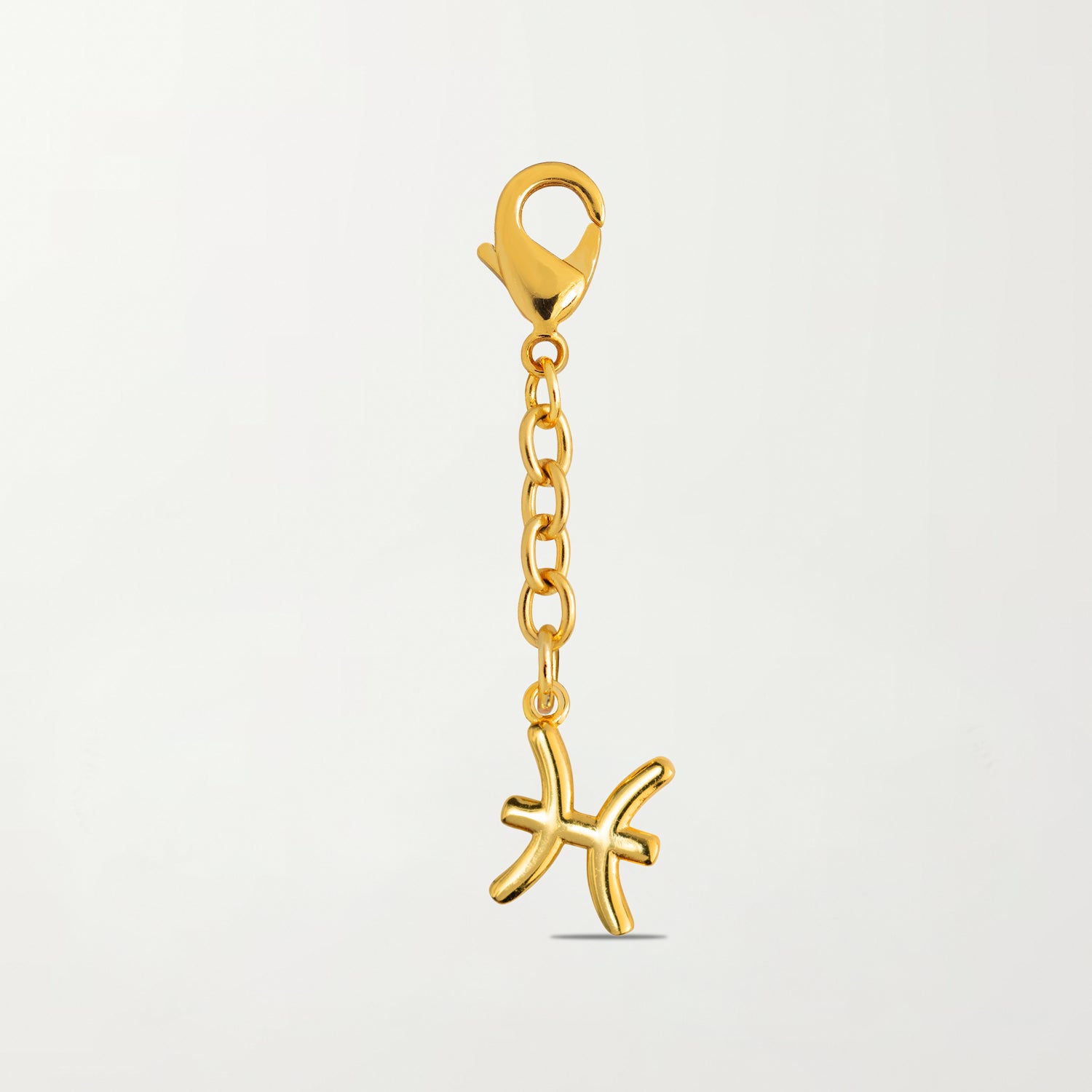 Picture of The Zodiac Charm