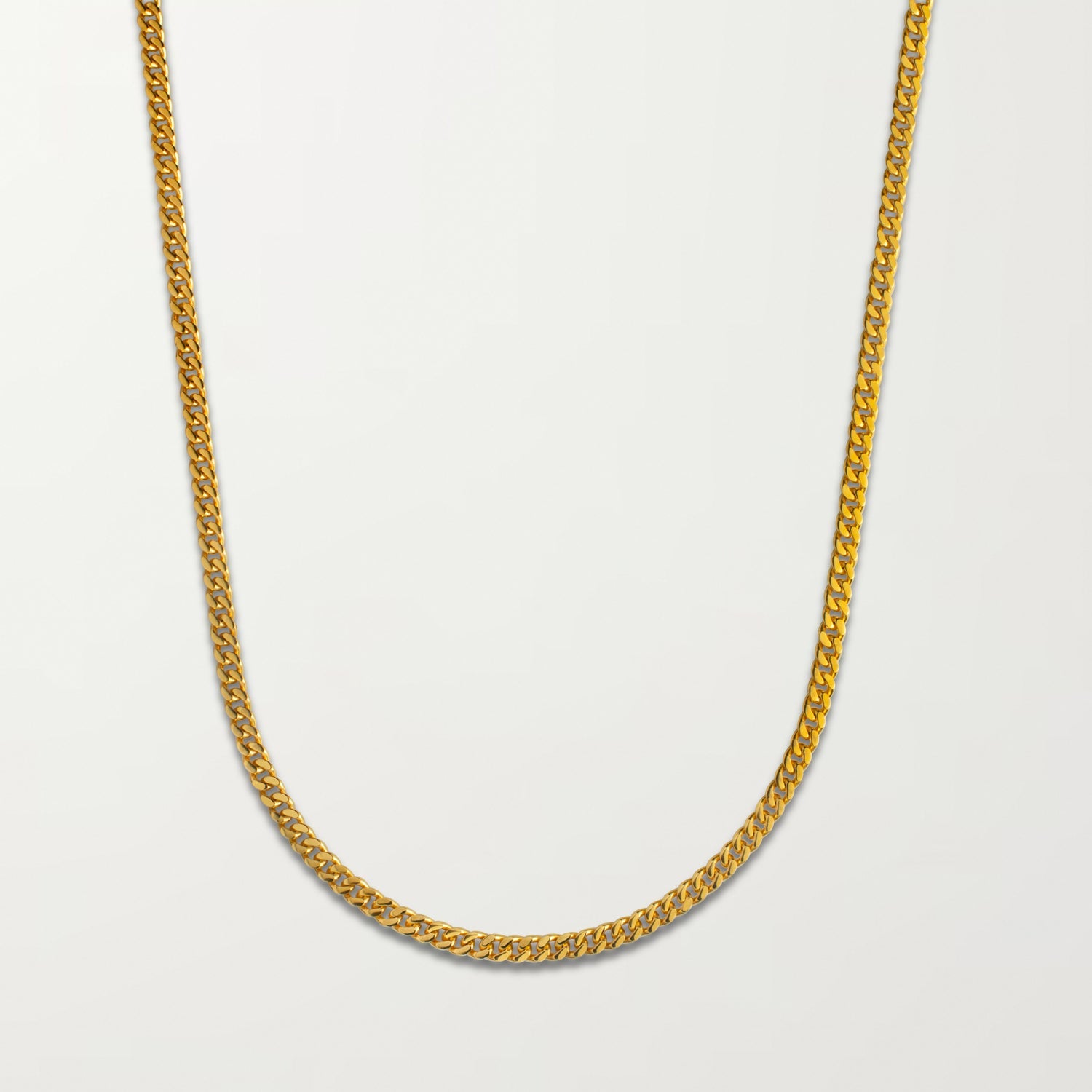 Picture of The Curb Chain Necklace