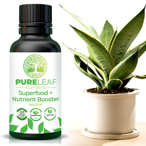 Superfood and nutrient booster for indoors
