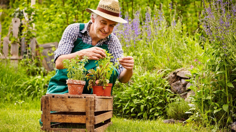 Man smiling and checking his plants.