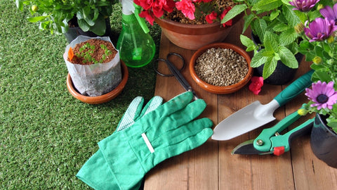 Garden tools and potted plants