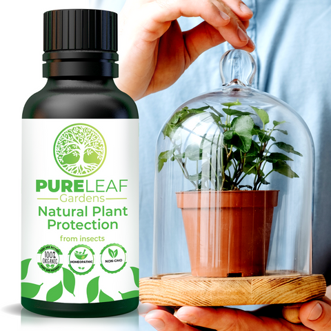 Natural Plant Protection