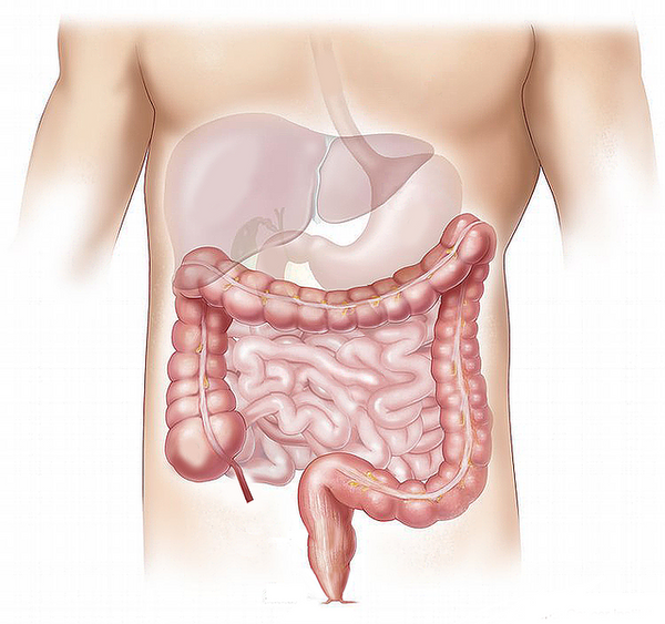 Lactobacillus rhamnosus: probiotikum so silnými účinkami