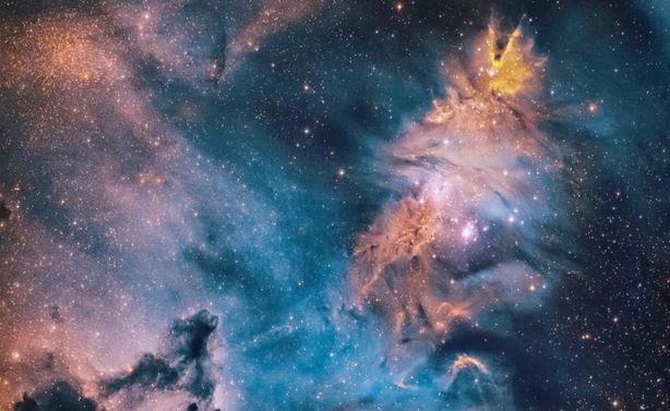 Cone Nebula Formation