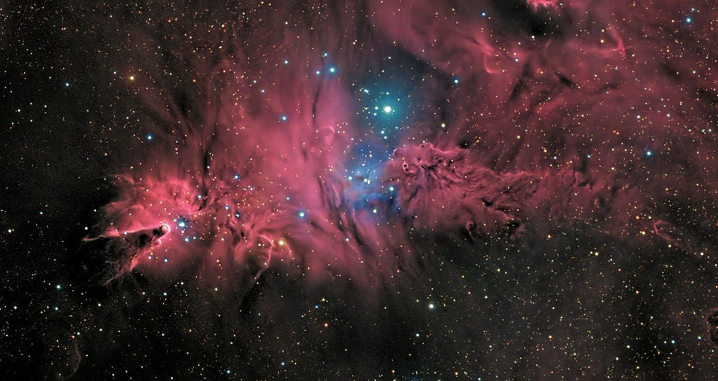 What is the scientific significance of the Cone Nebula