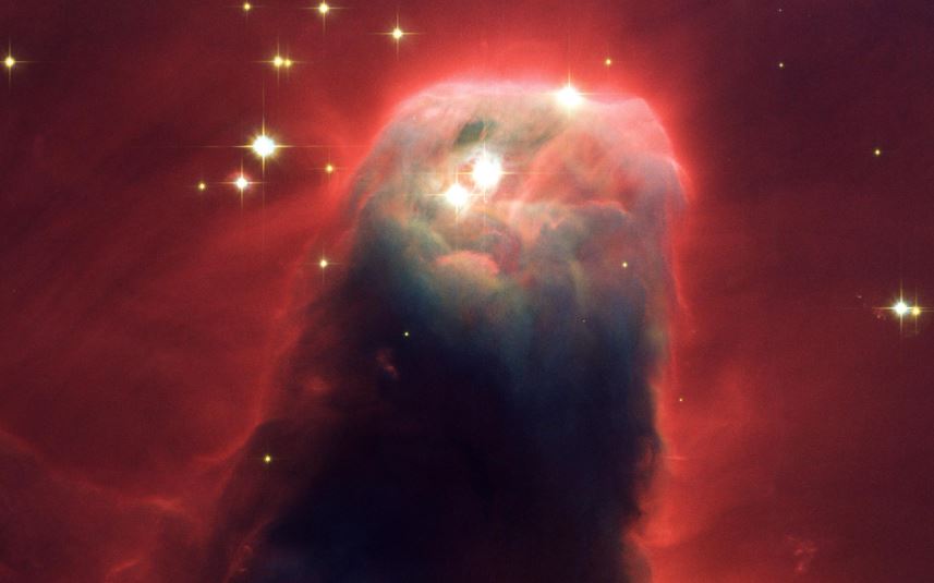 Composition of the Cone Nebula