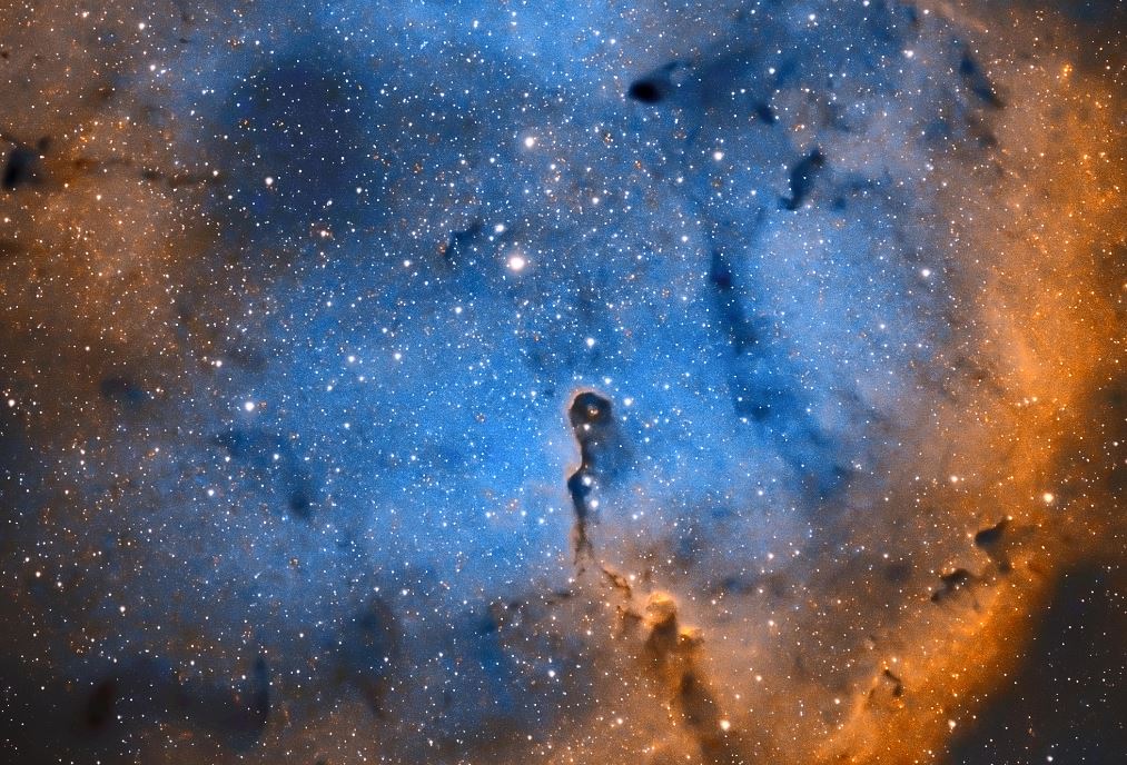 The Significance of the Elephant Trunk Nebula