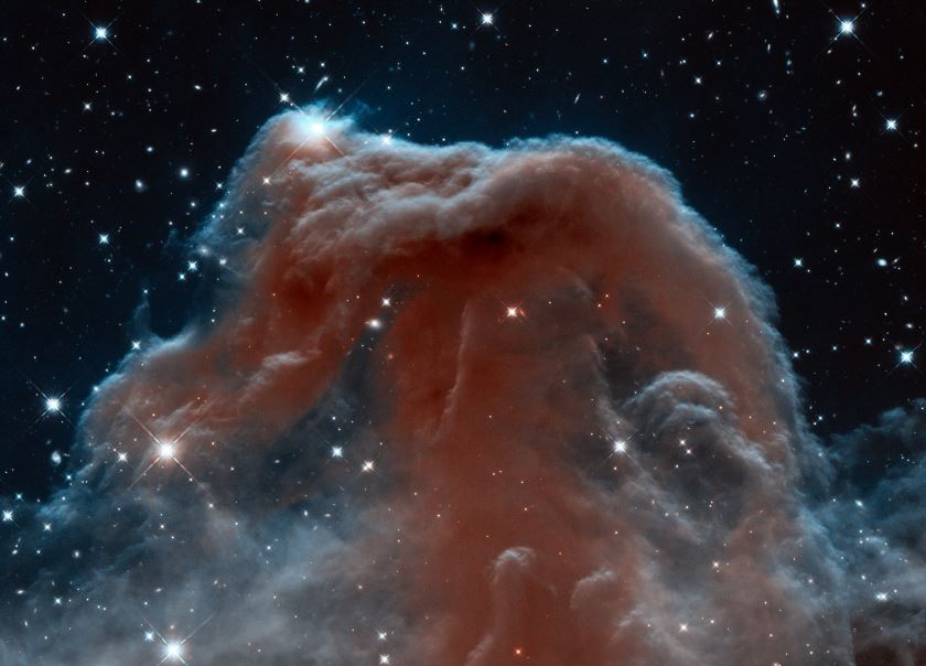 Horse head Nebula