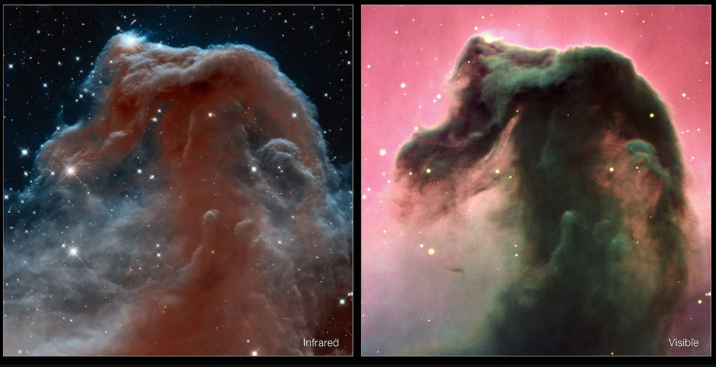 Hubble Images of the Horsehead Nebula