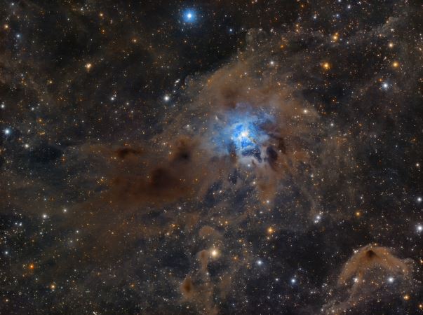 Other Objects in the Iris Nebula Region