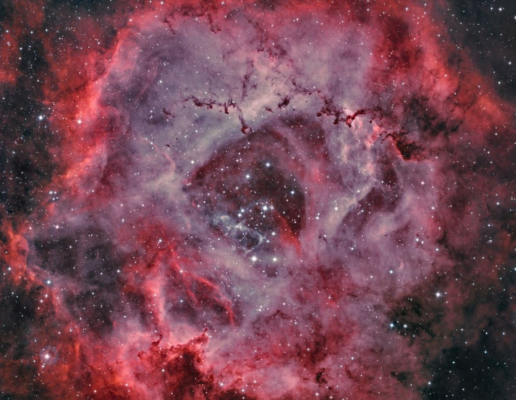 The Formation of the Rosette Nebula
