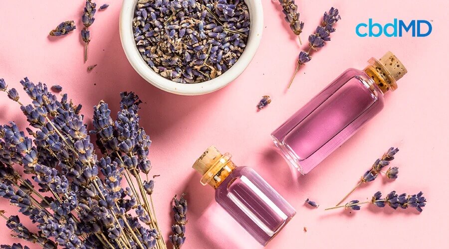 lavender oils and lavender flowers