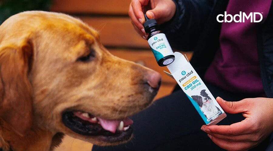 A woman with paw cbd oil and her dog