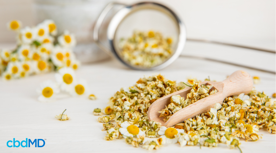 Chamomile as a Calming Ingredient