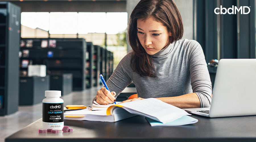 A woman sitting at a desk working with a computer near her next to full spectrum calm gummies cbd plus thc mixed berry - cbdMD