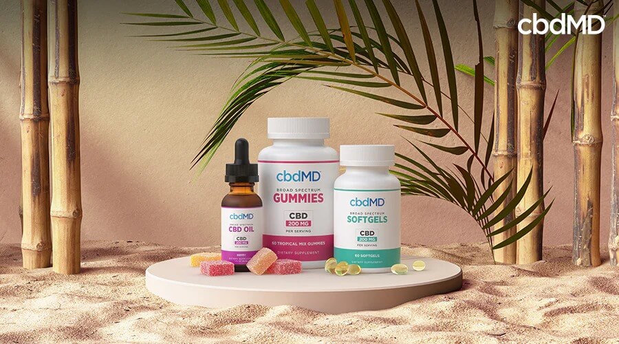 Gomas de óleo CBD de amplo espectro 200 mg por porção, mistura tropical e cápsulas moles 200 mg por porção, todas próximas umas das outras em um ambiente de praia - cbdMD