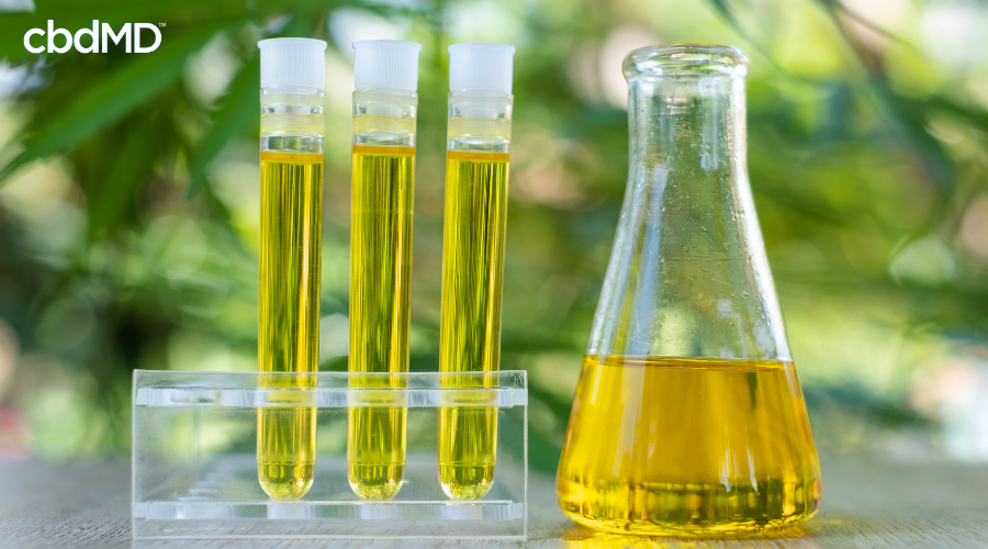 Test Tubes with CBD Tincture for Study