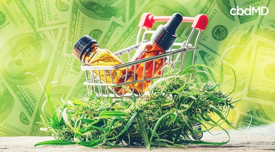 Un carrito de compras que tiene botellas de aceite de cbd encima de una planta de cannabis con billetes de cien dólares al fondo - cbdMD