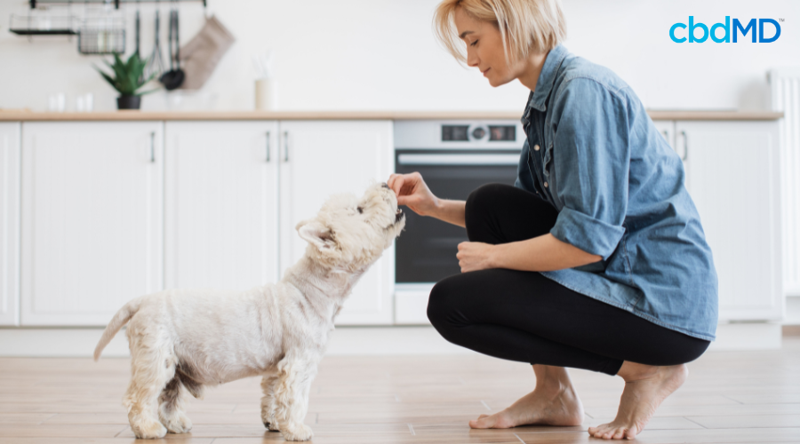 Woman Feeding Dog a CBD Dog Treat