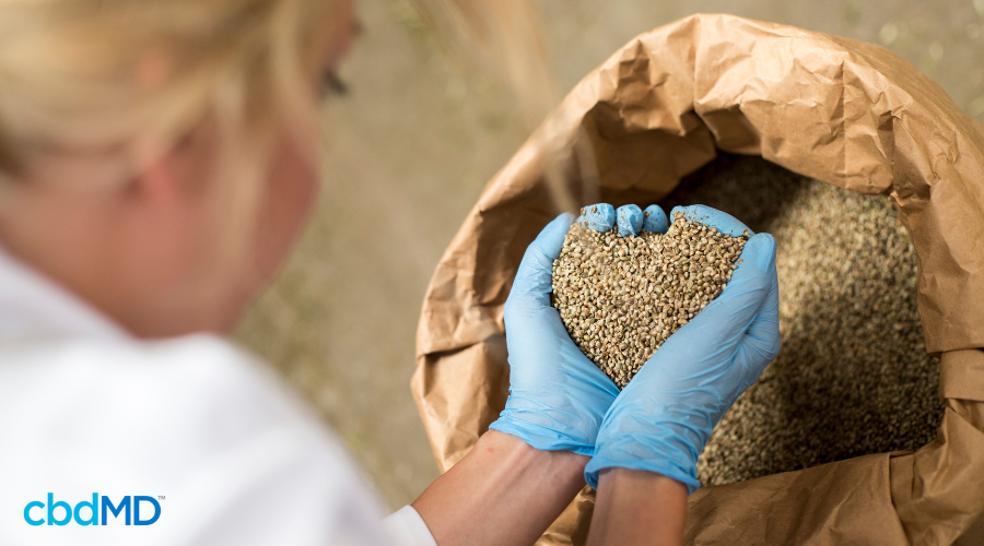 Woman Packaging Sustainable Hemp Seeds