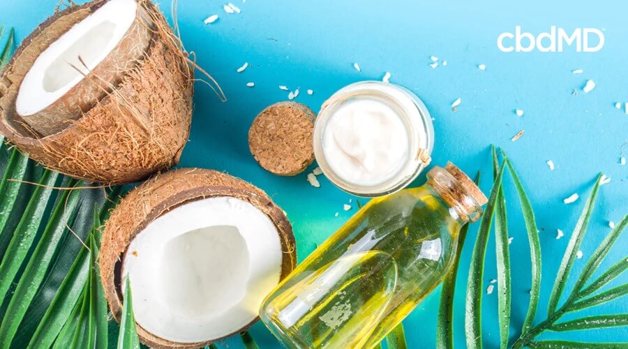 Two halves of a coconut lay among palm fronds near a jar of cream