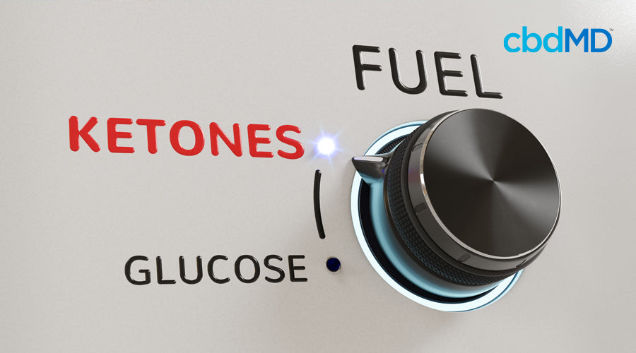 The dial on a stove is set to ketones with the words fuel and glucose above and below it on the dial