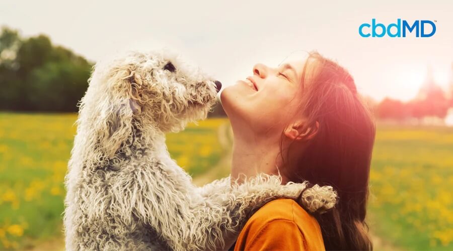 A dark haired woman smiles as she holds up a shaggy white dog at the park