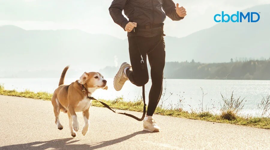 Um beagle corre com seu dono perto de um rio largo