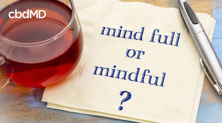 Um guardanapo fica ao lado de uma taça de vinho com a palavra “mind full” ou “mindful” escrita nele