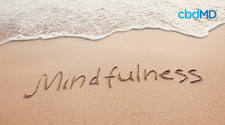 The ocean laps on the beach where mindfulness is written into the sand