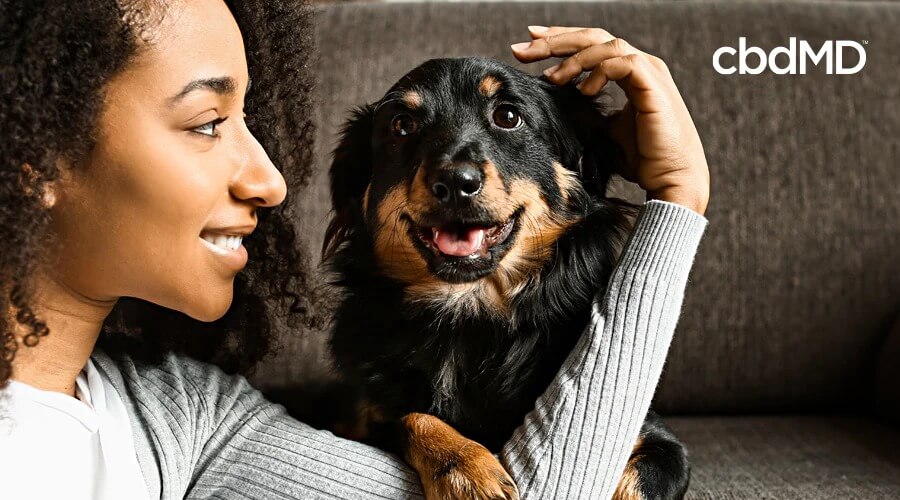 A dark skinned woman pets her black and brown mixed terrier