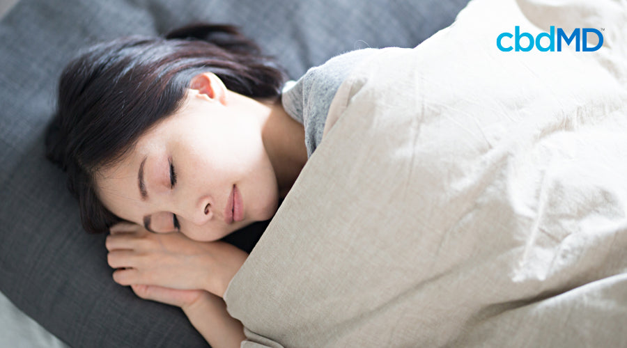 Uma adorável mulher asiática dorme profundamente enquanto está enrolada em um cobertor