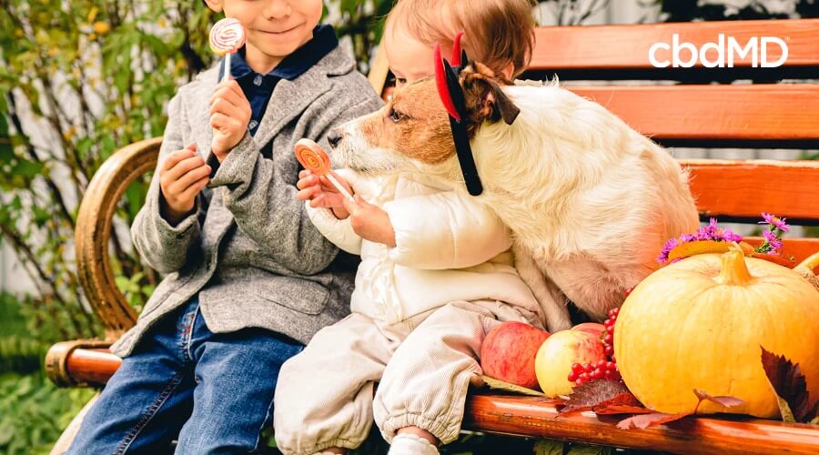 Duas crianças sentadas em um banco de parque com um cachorro interessado em roubar seus doces