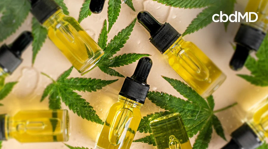 Glass bottles of cbd oil sit among assorted cannabis leaves