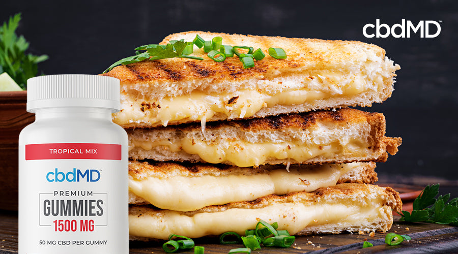 A stack of pressed grilled cheese sandwiches with CBD sits with a bottle of 1500 mg CBD gummies from cbdMD laid over the image