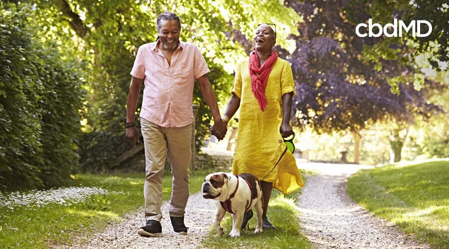 An older couple walks in the park with their english bulldog