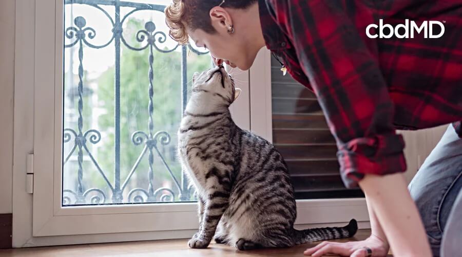 A man in a plaid shirt leans over to give his kitty cat a kiss on the nose