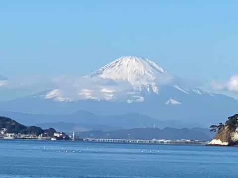 港区　六本木　花屋　ゴトウフローリスト　謹賀新年