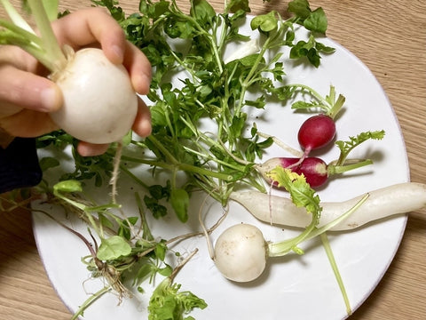 港区　六本木　花屋　ゴトウフローリスト　フラワージャーナル