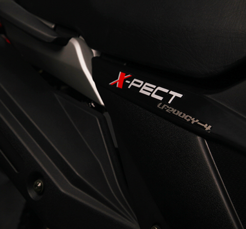 200cc X-pect dual sport