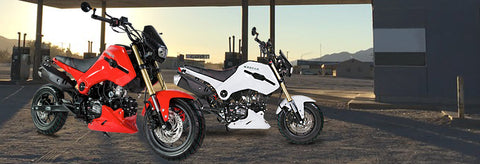 PMZ125-1 icebear fuerza x19R 125cc motorcycle from Venom Motorsports USA Canada