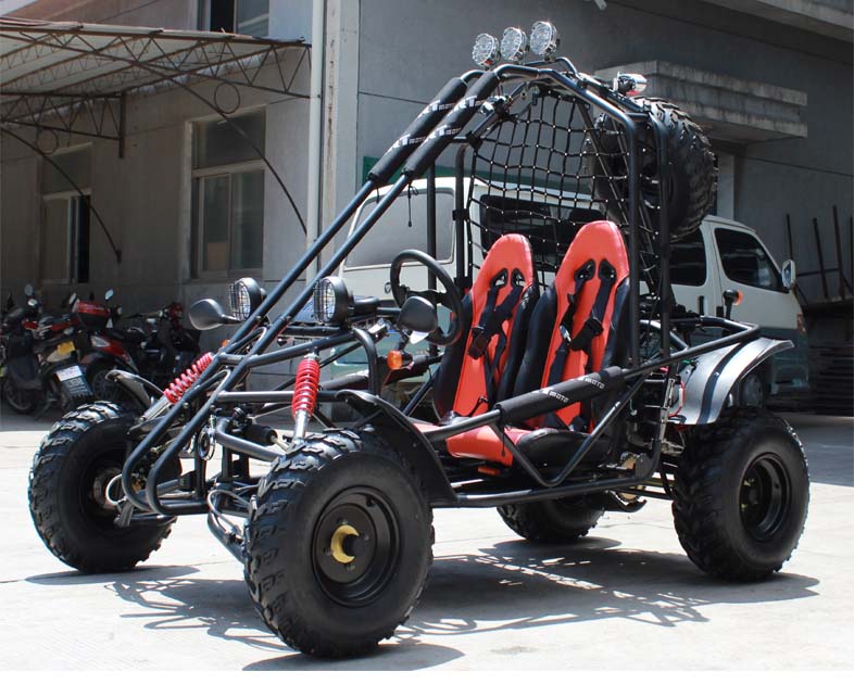 Buy Df200gkd 2 Seater Go Kart Gk 28c 200 Dune Buggy Dongfang Df200