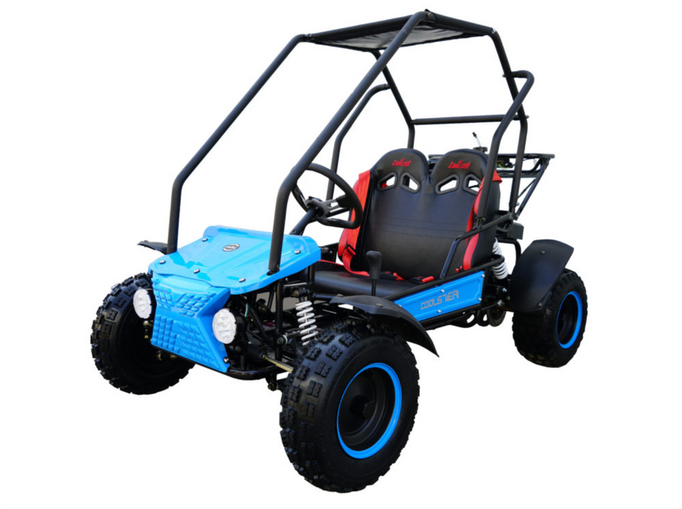 dune buggy 2 seater sale