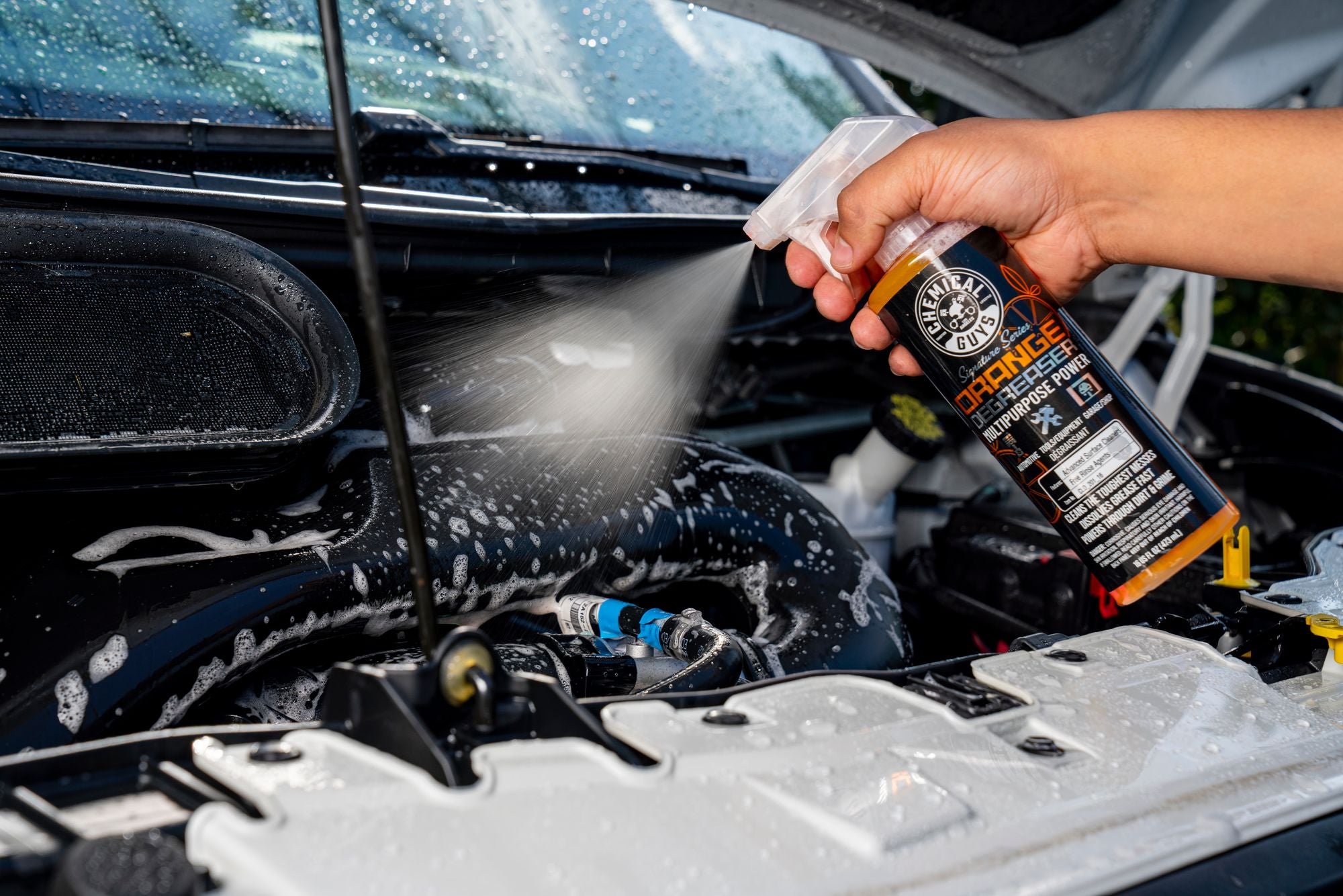 Cleaning engine bay with Signature Series Orange Degreaser