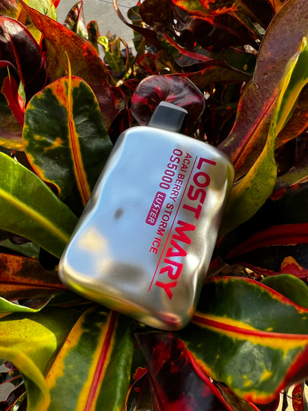 This image showcases a disposable vape device with "LOST MARY OS5000" printed on its side, nestled among vibrant red and green leaves of a plant. The metallic body of the vape reflects the surrounding colors, and it has a contrasting dark mouthpiece. The text on the device is accented in red, indicating the "ACAIBERRY ICE" flavor. The natural foliage cradles the device, creating an organic contrast with the technology.