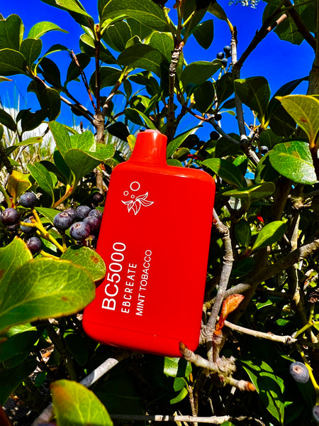 A bright red disposable vape device is nestled within the branches of a bush with glossy green leaves and clusters of dark blueberries. The device is labeled "BC5000", and "MINT TOBACCO" is indicated as the flavor. The background reveals a clear blue sky, creating a vivid contrast with the red color of the vape and the natural tones of the foliage and fruit.