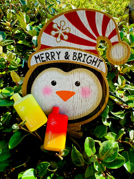 The image features two disposable vape devices resting against a festive holiday-themed wooden penguin decoration, which reads "MERRY & BRIGHT" with a candy cane striped hat adorned with a snowflake. The vape on the left is yellow, labeled "BC5000 EBCREATE MANGO PEACH," and the one on the right is red to yellow gradient, labeled "BC5000 EBCREATE SUNSET." The vapes are positioned among dense green foliage under bright sunlight, adding a vibrant contrast to the whimsical winter decoration.