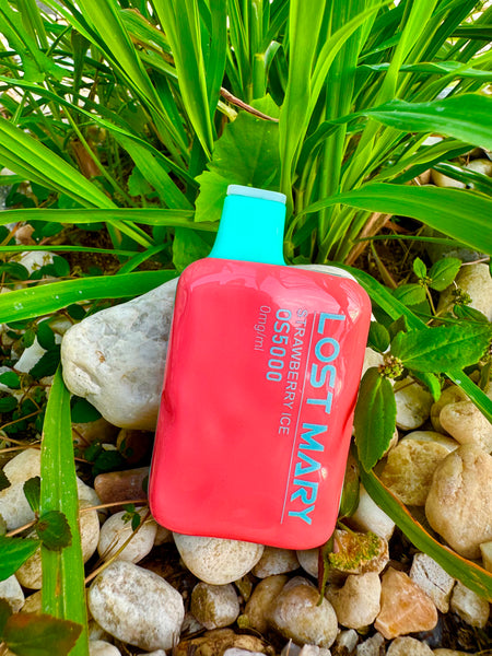 An image of a red disposable vape with a turquoise top lying on a bed of variously sized pebbles. The label on the vape shows the text "LOST MARY OS5000 STRAWBERRY ICE". Green plant leaves encroach from the top and left sides, adding a natural touch to the scene. The pebbles create a textured background that contrasts with the smooth, bright surface of the vape.